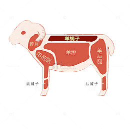 羊蝎子部位图