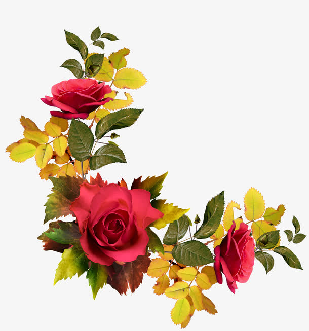 鲜花素材免费下载_觅元素