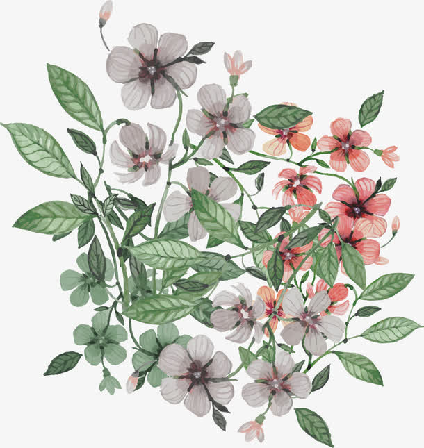 插画花卉免抠素材免费下载_觅元素51yuansu.com