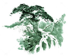 一棵青松png