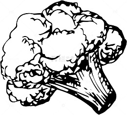 粉笔画免扣菜花
