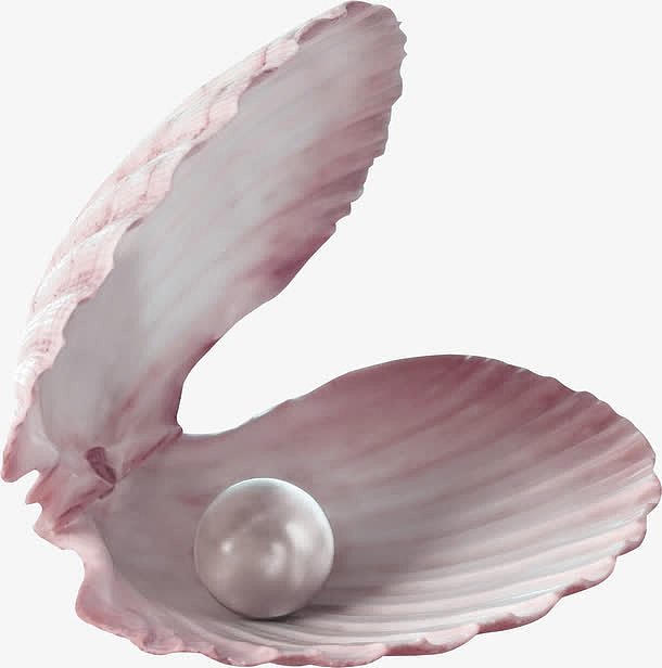 粉色唯美扇贝珍珠素材图案