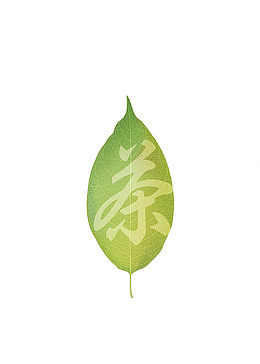茶叶叶脉素材背景
