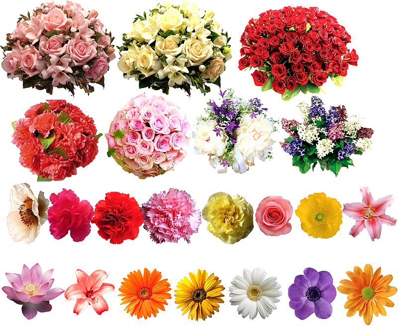 鲜花素材