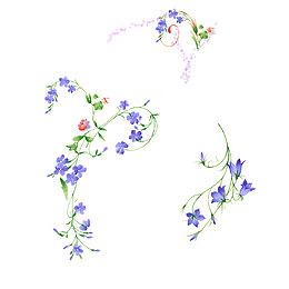 手绘紫色边框垂花