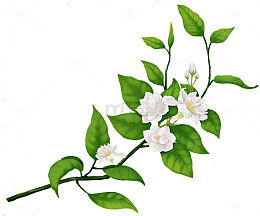 卡通百花绿叶装饰素材