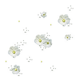 背景装饰 漂浮的 小百花