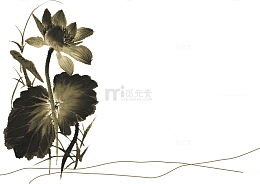 国画荷花高清免扣素材