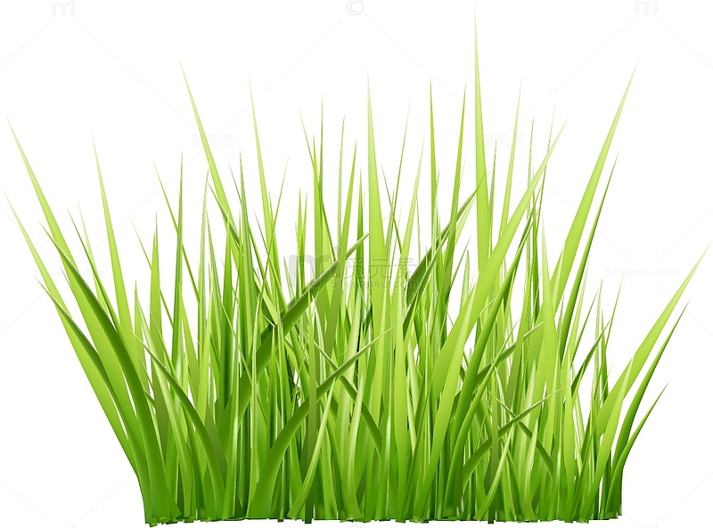 绿色草丛装饰图案