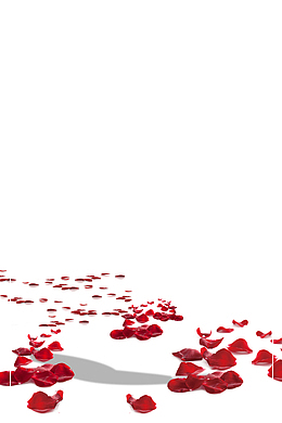 情人节快乐