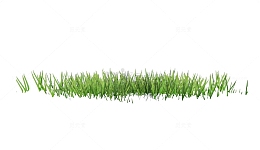 细长青草地