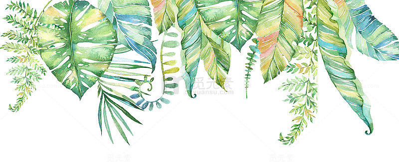 多彩颜色插画植物叶子