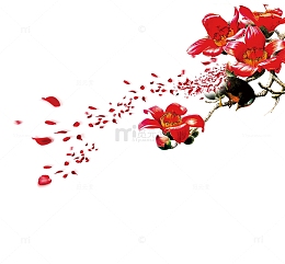 木棉花免抠素材