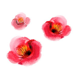 木棉花彩绘免抠素材