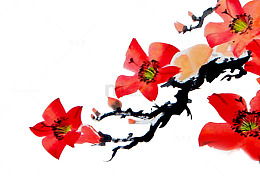 中国风木棉花