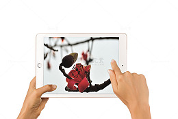 ipad拍照效果