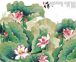 荷花免抠素材