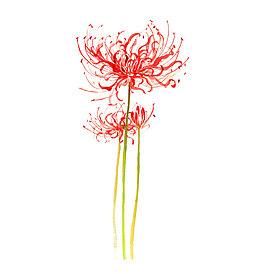 花卉