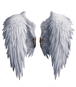 白色羽毛翅膀双翼