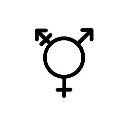 平等女性性别男性性取向变性人我