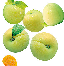 青梅免抠大图下载