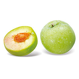 青梅果高清免抠图下载