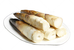 竹笋食材