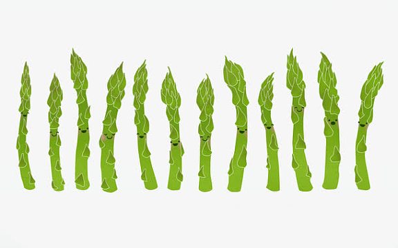 卡通手绘竹笋