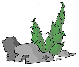 手绘竹笋
