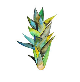 手绘竹笋元素