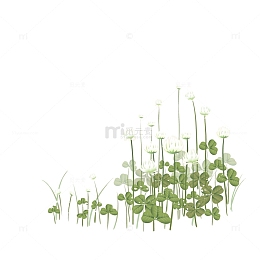 田园风三叶草绿色