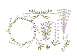 紫色薰衣草花纹