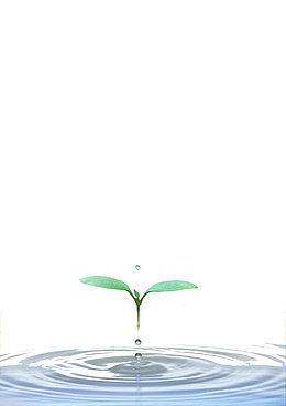 节约用水