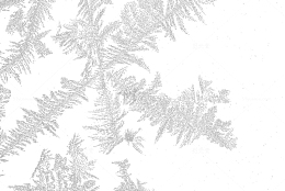 白色雪花