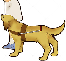 牵着导盲犬