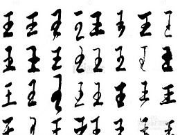 各种王字