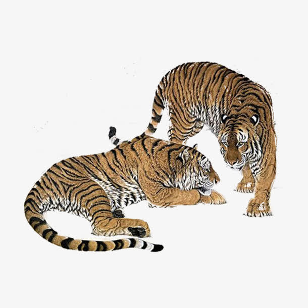 两只老虎头像图片