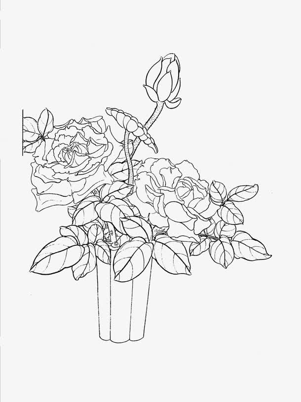 关键词 : 月季,花卉线稿,白描[声明] 觅元素所有素材为用户免费分享