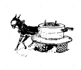 毛驴拉磨