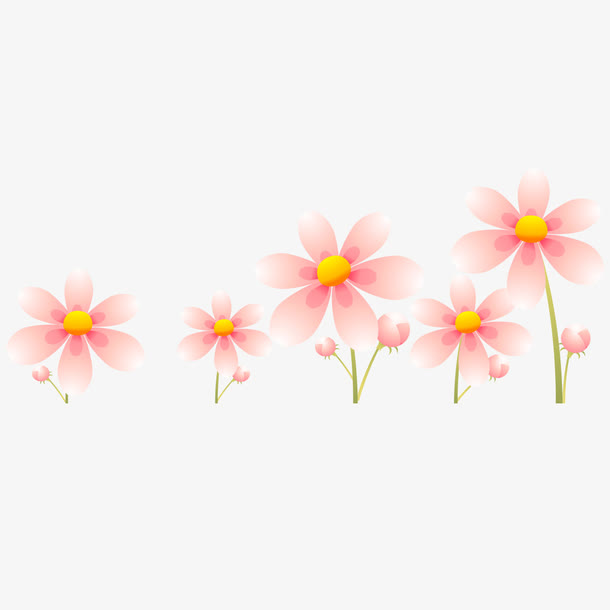 小红花的装饰图案