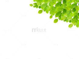 绿色ppt元素