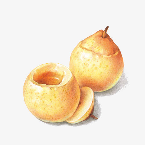 雪梨手绘画素材图片