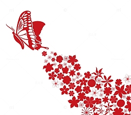 美丽蜕变