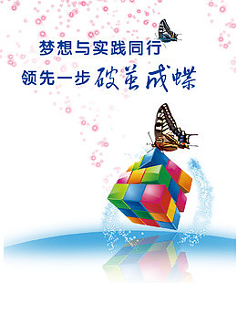 破茧成蝶离职