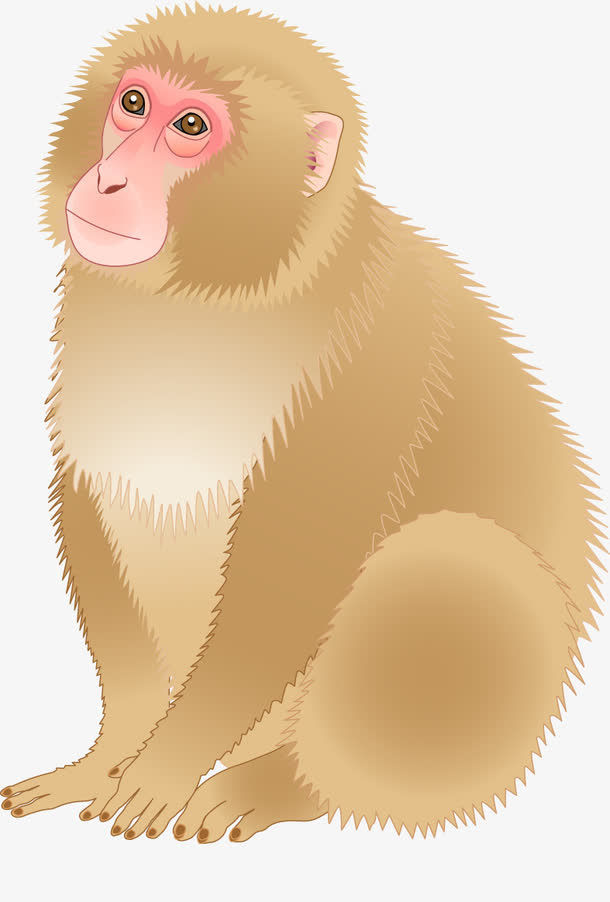 关键词 : 猴年,猴子,动物,卡通