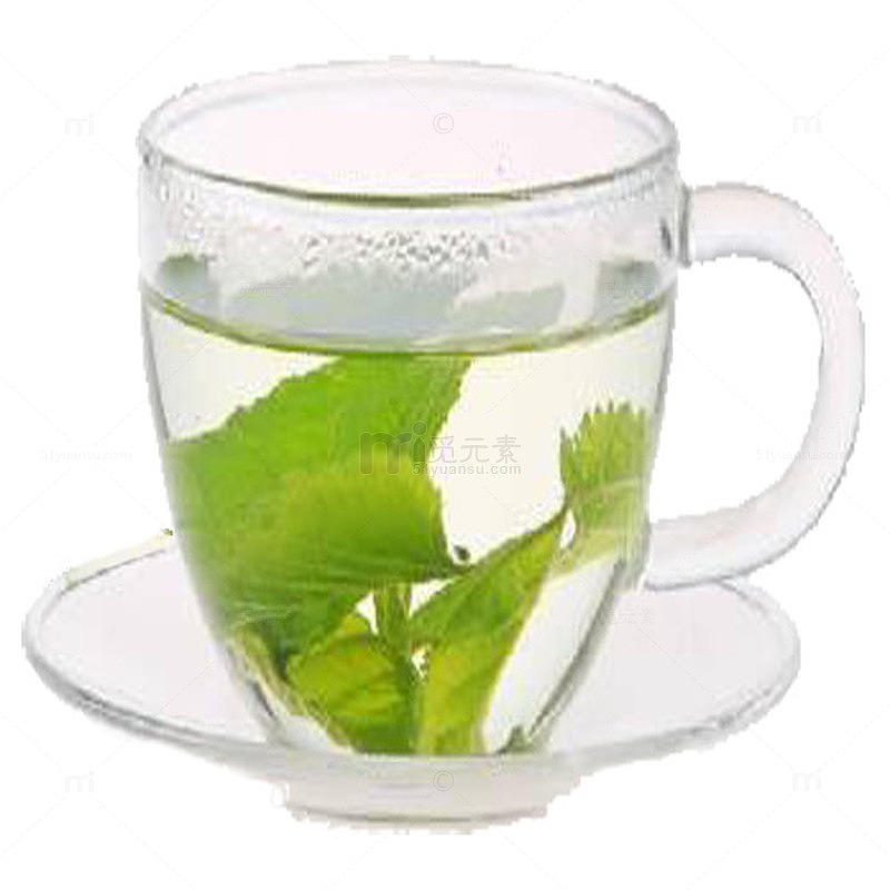 桑叶茶泡制