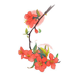 红色海棠花树枝