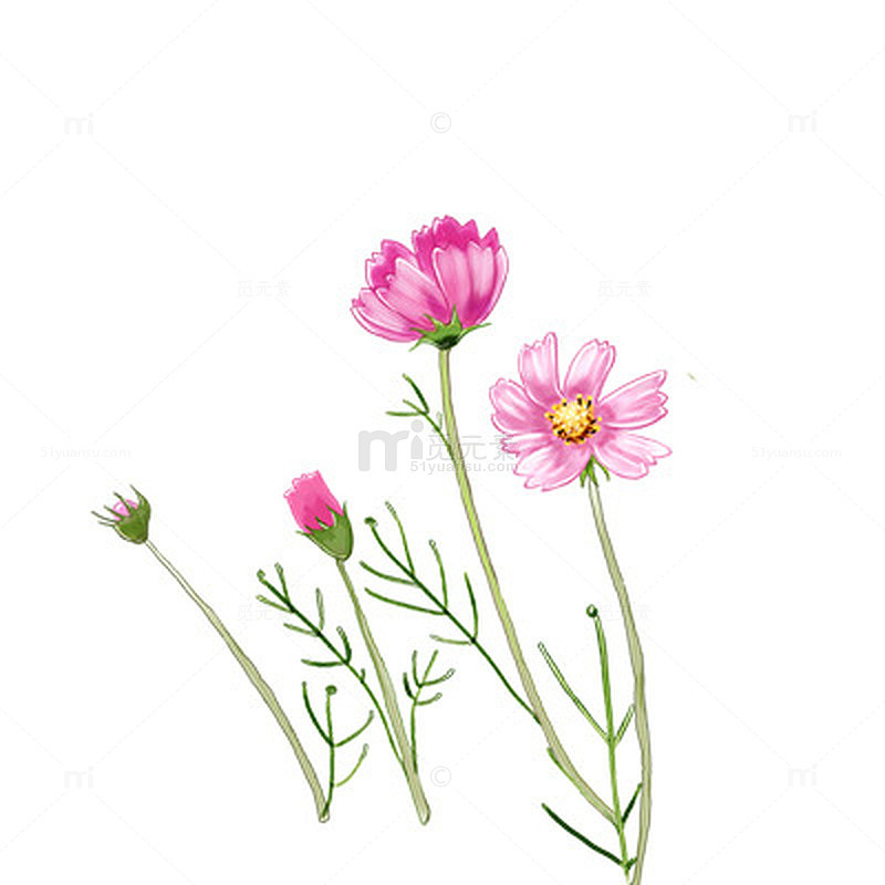 前景装饰 花草素材素材免费下载_觅元素
