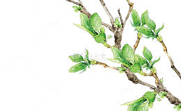 手绘树枝春芽素材