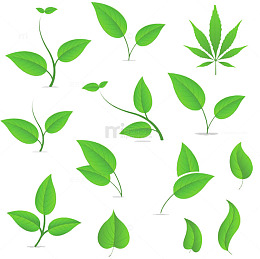 清新嫩芽图片素材
